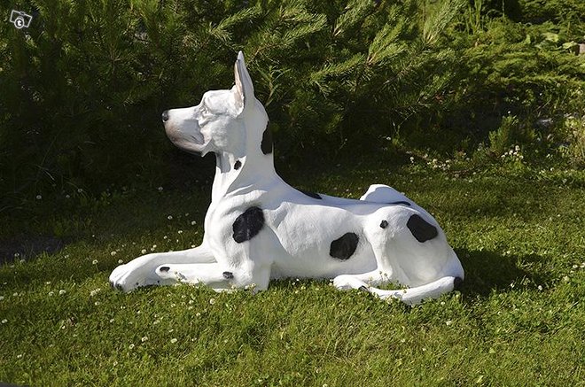 Tanskandoggipatsas - Image 2