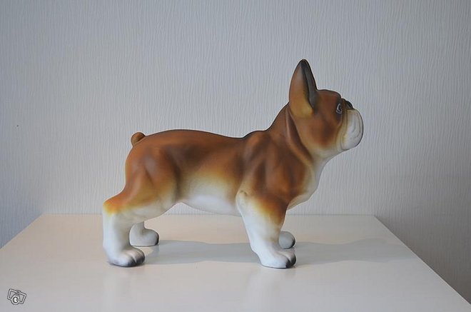 Ranskanbulldoggi - Image 3