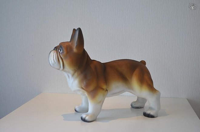 Ranskanbulldoggi - Image 4